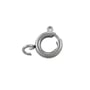 Spring Ring Clasp 8mm Surgical Stainless Steel (1-Pc)